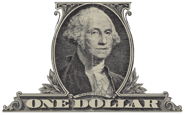 detail dolarovky s podobenkou