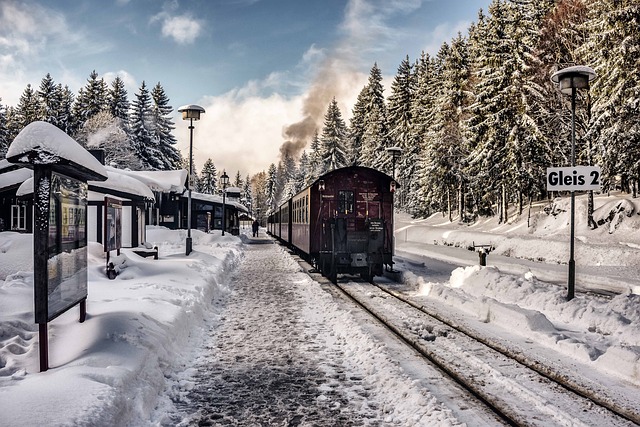 Železniční vozidla v zimě